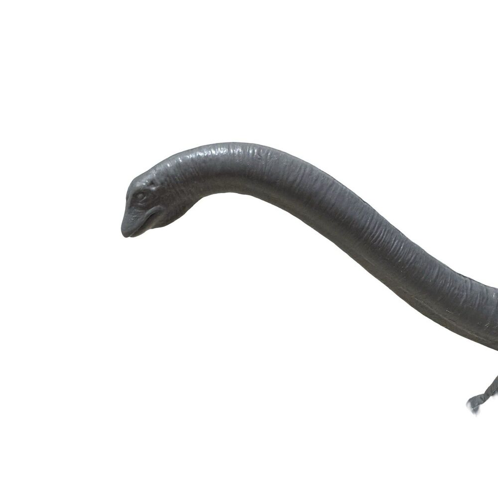 Vintage Diplodocus - British Natural History Museum - 1974 - Picture 4 of 12